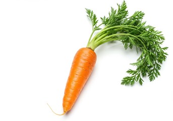 Single fresh carrot with green leaves isolated on white background