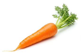 Single fresh carrot with green leaves isolated on white background