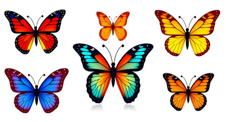 butterfly vector