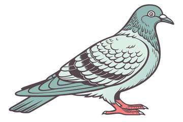 59 Detailed anatomical illustration of a pigeon, scientific bird drawing, iridescent feathers, soft blue and green plumage, intricate wing patterns, red feet, side profile, white background, nature gu