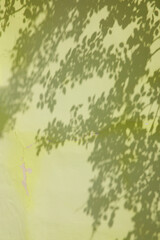 Soft light and shadows on simple textured walls.