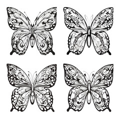 Obraz premium set of vector butterflies outline black and white 