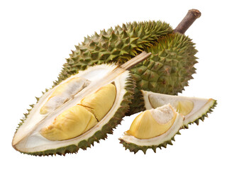 Fototapeta premium Durian fruits on isolated white background, Clipping path