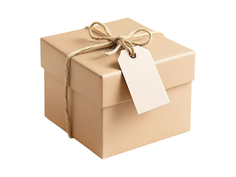 Simple kraft gift box with a blank tag and twine.