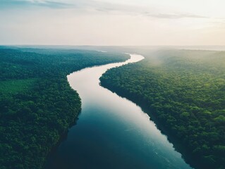 Serene river winding through lush rainforest