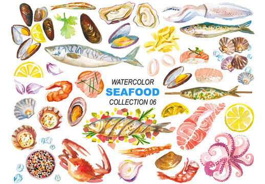 Vector watercolor painted seafood clipart. Hand drawn design elements isolated on white background.