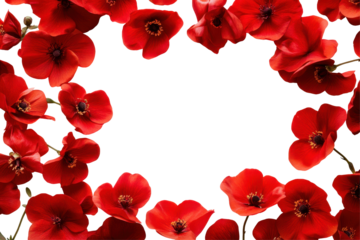 Beautiful red flower frame border isolated on white background perfect for weddings cards and graphic designs
