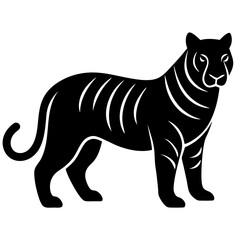 Obraz premium zebra vector illustration