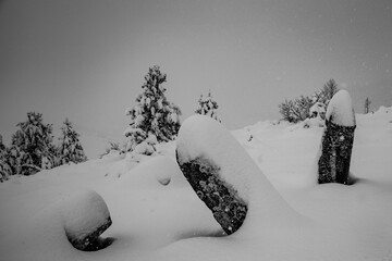 Timeless Silence &ndash; Black and White Mountain Landscape
