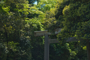 Torii Gate of Ise Jingu
