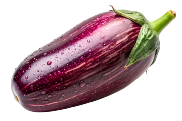 Shiny Eggplant with Highlights