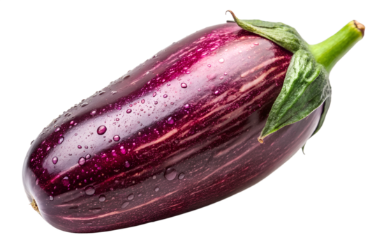 Shiny Eggplant with Highlights