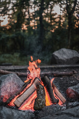 fire in the forest