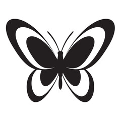 butterfly on white background 