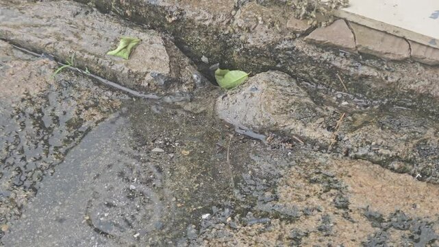 Damp Concrete Surface After Rain Water Texture Gritty Stone Drainage Reflect Tranquility, Creating Wet, Intriguing Patterns on Ground 157