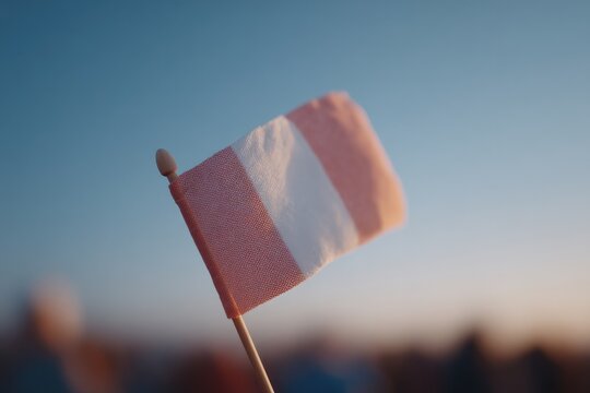 silhouetted figure holds small french flag against clear sky during bastille day with people softly blurred in background