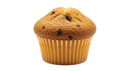 Isolated Muffin