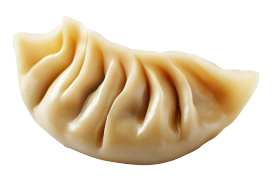 Pan-fried or steamed dumpling Jiaoz with pleated edges, isolated on white transparent background, concept of Asian traditional cuisine