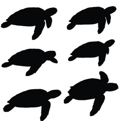 Tortoise full body silhouette collection. Wild turtle swimming in different positions. Sea creatures and reptiles like turtles, silhouettes on a white background. Beautiful turtle silhouette bundle.