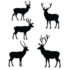 Deer silhouette vector collection on a white background. Beautiful male gazelle with big horns silhouette set design. Stag and reindeer standing, black and white silhouette vector bundle.