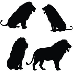 Lion roaring silhouette vector on a white background. Wild lion silhouette set vector. Male lion silhouette bundle design. Carnivore animals sitting in different positions silhouette collection.