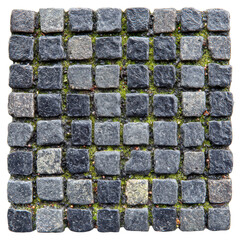A square arrangement of dark gray cobblestones with moss growing between them provides a natural and textured paving material for outdoor spaces and pathways.