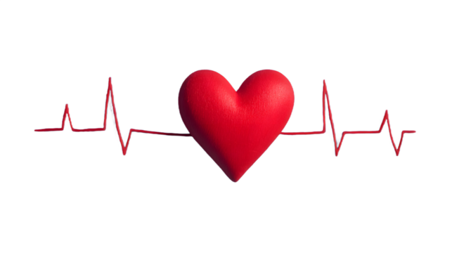 3D Heart and ECG Line Illustration