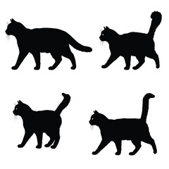 Cats walking in different positions, silhouette set vector. Adult cat silhouette collection on a white background. Beautiful domestic animals like felines and cats full body silhouette bundles.