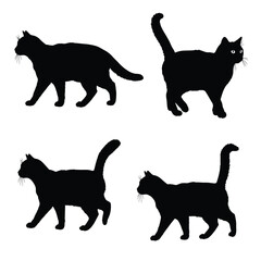 Cats walking in different positions, silhouette set vector. Adult cat silhouette collection on a white background. Beautiful domestic animals like felines and cats full body silhouette bundles.