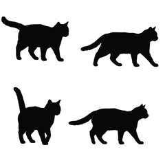 Cats walking in different positions, silhouette set vector. Adult cat silhouette collection on a white background. Beautiful domestic animals like felines and cats full body silhouette bundles.