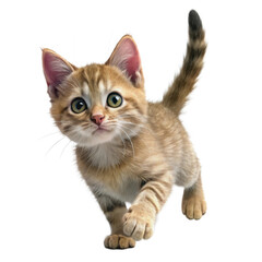 A curious orange tabby kitten with big green eyes exploring its surroundings playfully.