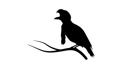 Long-wattled Umbrellabird, black isolated silhouette