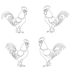 Set of cute rooster animals cartoon coloring page illustration vector. For kids coloring book.