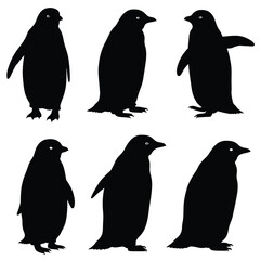 Obraz premium cute penguin silhouette vector design illustration