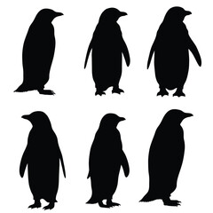 Obraz premium cute penguin silhouette vector design illustration