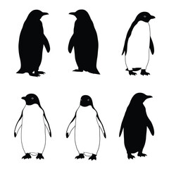 cute penguin silhouette vector design illustration