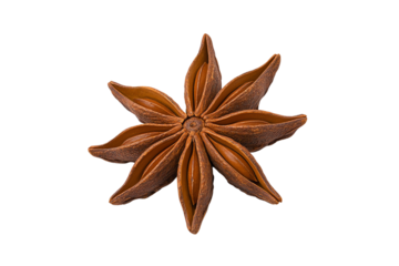 A single star anise pod with eight pointed segments arranged in a symmetrical pattern.