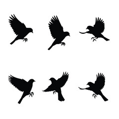 Fototapeta premium Swallows flying silhouette bundle design. Wild Swallows vector design on a white background. Beautiful bird flying silhouette set vector. small bird in different positions silhouette collection.