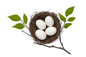 A bird"s nest holding four white eggs and green leaves on a branch.