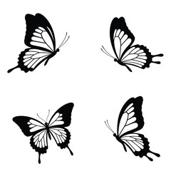 Obraz premium Wild butterflies flying silhouette set design. Butterflies silhouette vector collection on a white background. Monarch standing and sitting. Moth and butterfly black and white silhouette vector bundle