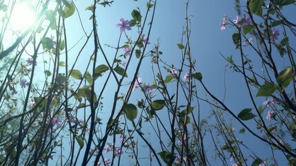 spring season. low angle. wide shot. Sunlight can be seen through the sprouted branches. The branches have green leaves and pale purple flowers. background.