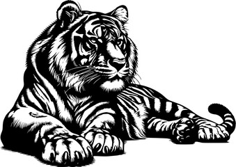 Hand drawn vector illustrations of a lying tiger silhouette