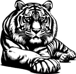 Hand drawn vector illustrations of a lying tiger silhouette