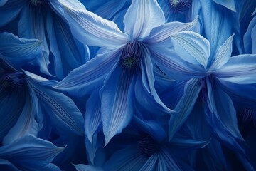 Fototapeta premium Close-up view of many light blue flowers.