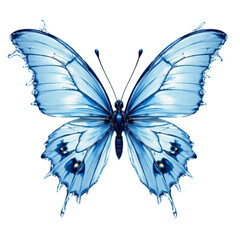 Fototapeta premium Blue Morpho Butterfly, with transparent background..