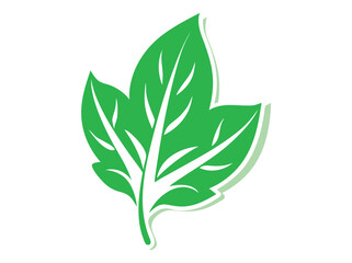 Simple black and green leaf silhouettes for design elements. Silhouette Leaves Against White Background, leaf, leaves, silhouette, black, green, nature,  organic, ecology, environment, illustration, g