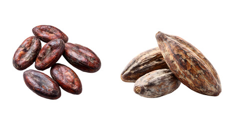 Obraz premium coffee beans isolated on white background