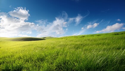 Obraz premium landscape with grass and blue sky