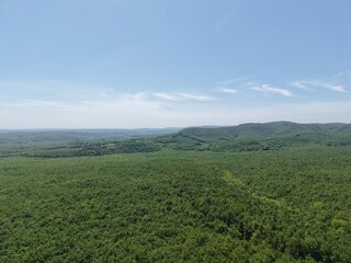 Aerial view of the great nature