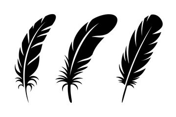 Obraz premium Three black feathers illustration vector design